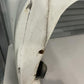 MITSUBISHI LANCER Evolution 3 Genuine Rear with Pods & Reo (Rare item)